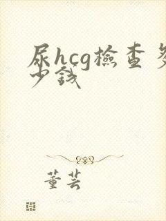 尿hcg检查多少钱