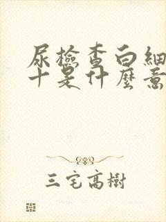 尿检查白细胞2十是什么意思