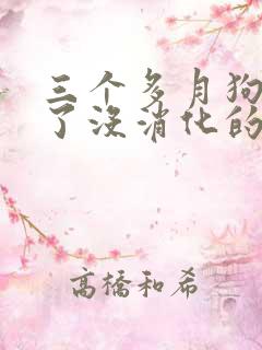 三个多月狗狗吐了没消化的食物