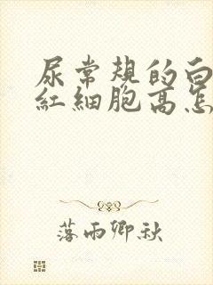 尿常规的白细胞红细胞高怎么回事