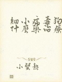 细小病毒狗狗用什么药治疗