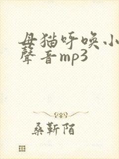 母猫呼唤小猫的声音mp3