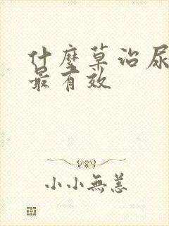 什么草治尿结石最有效