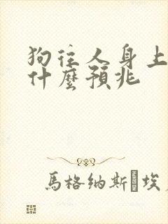 狗往人身上尿有什么预兆