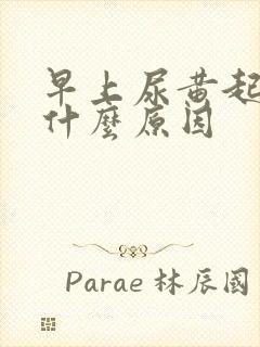 早上尿黄起泡是什么原因