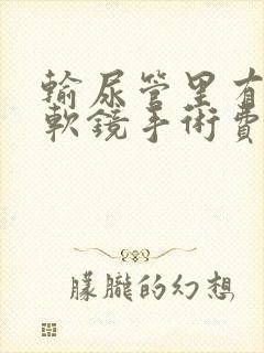 输尿管里有结石软镜手术费用多少