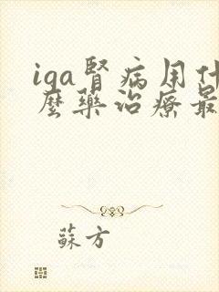 iga肾病用什么药治疗最好