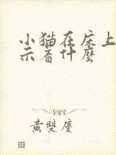 小猫在床上尿预示着什么