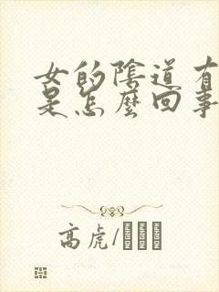 女的阴道有臭味是怎么回事