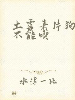 土霉素片狗狗能不能吃