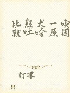 比熊犬一吃狗粮就吐啥原因