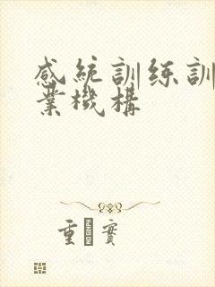 感统训练训练专业机构