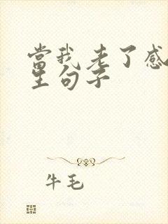 当我老了感悟人生句子