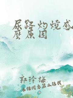 尿路灼烧感是什么原因