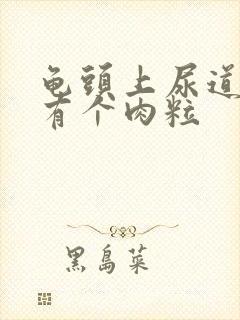 龟头上尿道口处有个肉粒