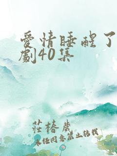 爱情睡醒了电视剧40集