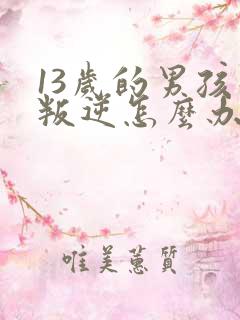 13岁的男孩子叛逆怎么办