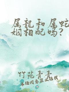 属龙和属蛇的婚姻相配吗?