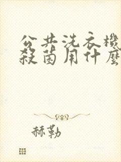 公共洗衣机消毒杀菌用什么最好