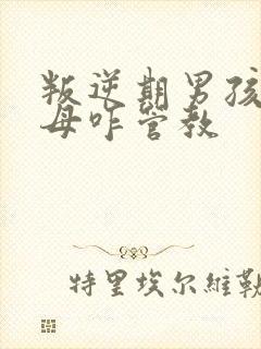 叛逆期男孩子父母咋管教