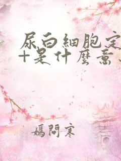 尿白细胞定性1+是什么意思