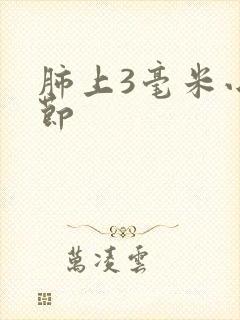 肺上3毫米小结节