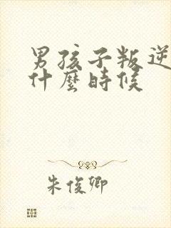 男孩子叛逆期是什么时候