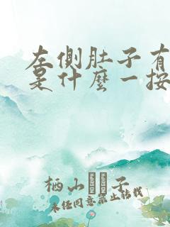 左侧肚子有硬块是什么一按就疼