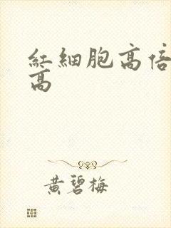 红细胞高倍视野高