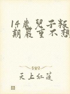 14岁儿子叛逆期严重不想上学