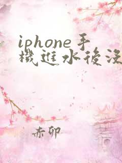 iphone手机进水后没有声音了怎么办