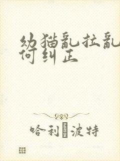 幼猫乱拉乱尿如何纠正