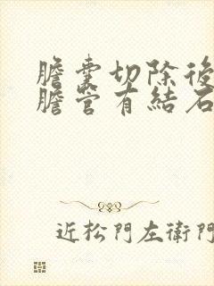 胆囊切除后肝内胆管有结石怎么办