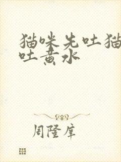 猫咪先吐猫粮后吐黄水