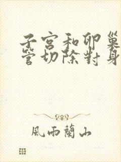 子宫和卵巢输卵管切除对身体有什么影响