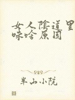 女人阴道里有臭味啥原因