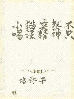 小猫突然不吃不喝没精神只趴着