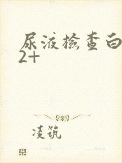 尿液检查白细胞2+