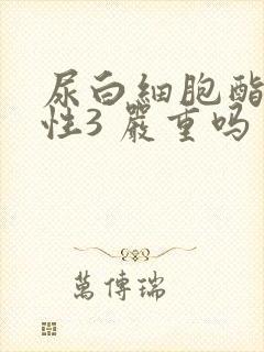 尿白细胞酯酶阳性3 严重吗