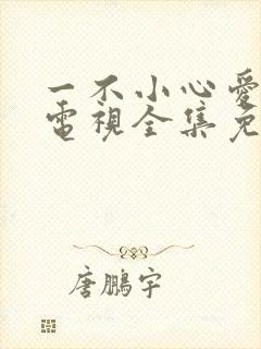 一不小心爱上你电视全集免费观看