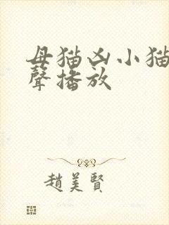 母猫凶小猫的叫声播放