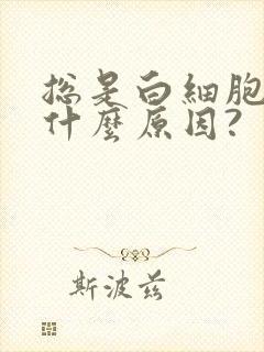 总是白细胞高是什么原因?