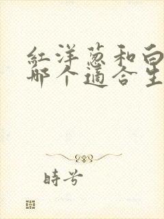 红洋葱和白洋葱哪个适合生吃