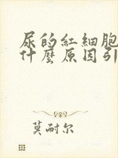 尿的红细胞高是什么原因引起的