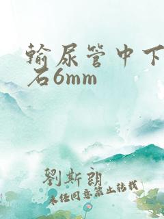 输尿管中下段结石6mm