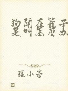 狗关在笼子里老是叫怎么办