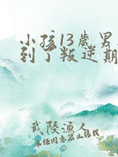 小孩13岁男孩到了叛逆期怎么教