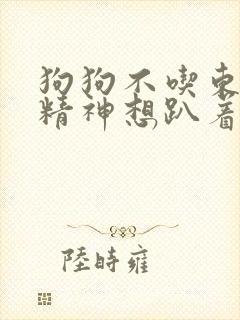 狗狗不吃东西没精神想趴着呕吐