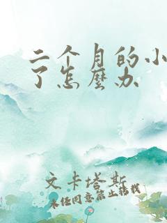 二个月的小狗吐了怎么办