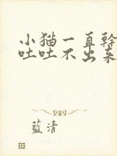 小猫一直干呕要吐吐不出来